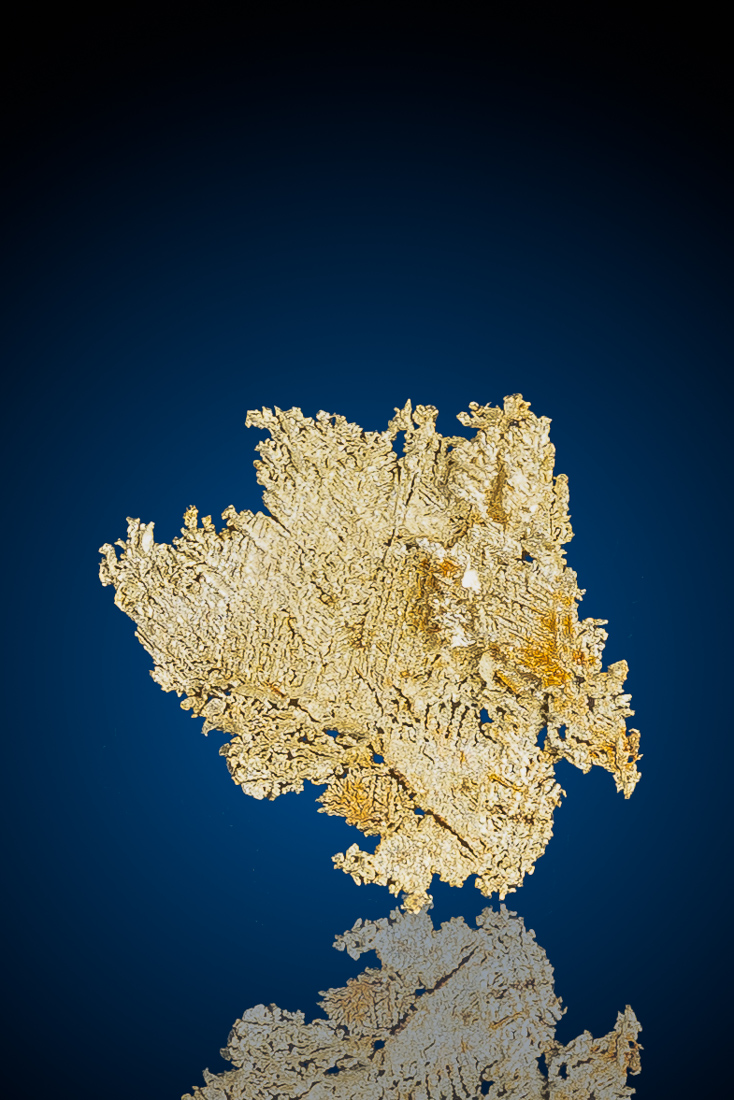 (image for) Exceptional Herringbone Leaf Gold Crystal - Round Mountain, NV